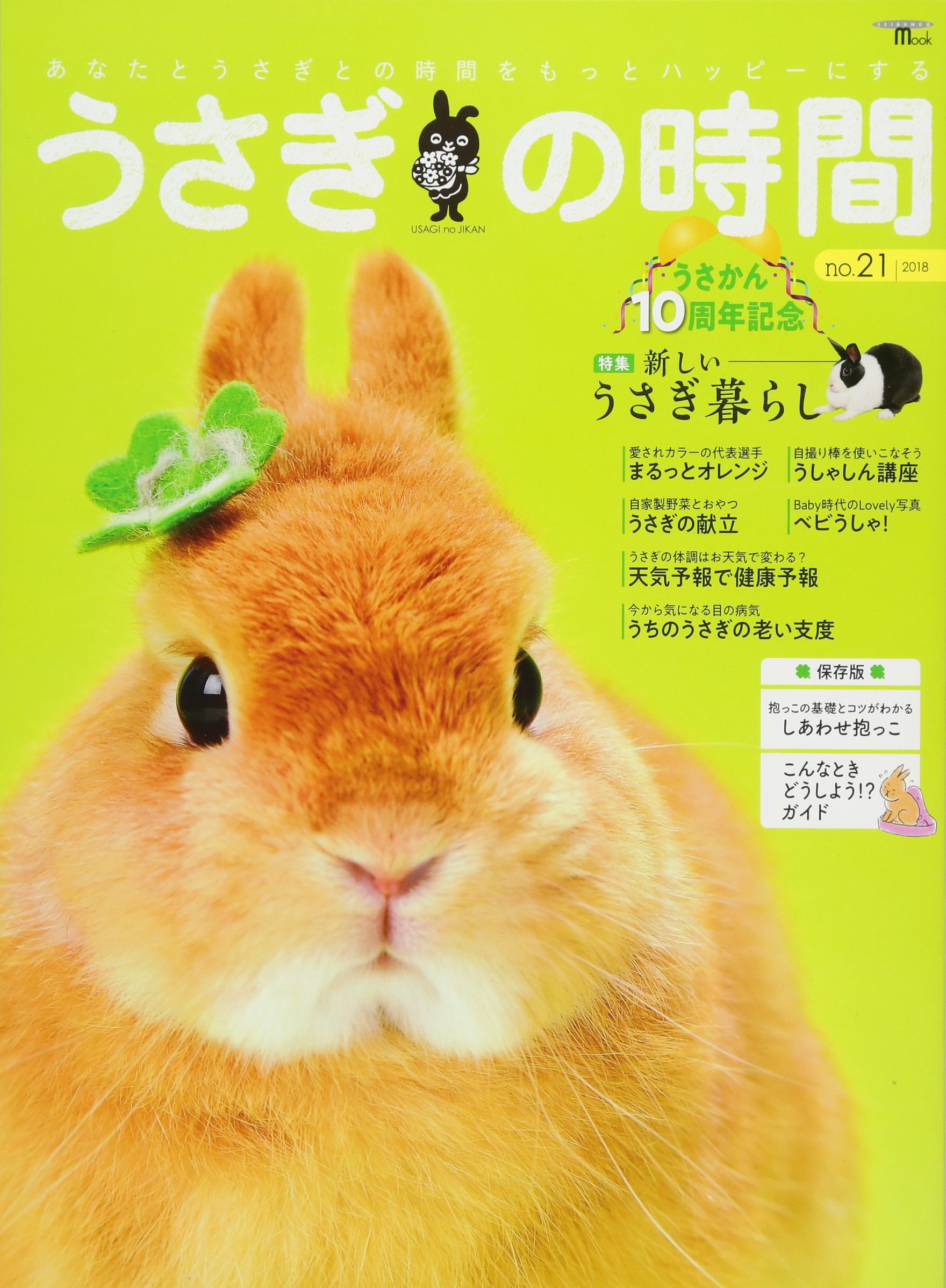 幸せのうさぎちゃん ♡ しあわせのうさぎさんマスコット ♡ | Sayakadoll by saya